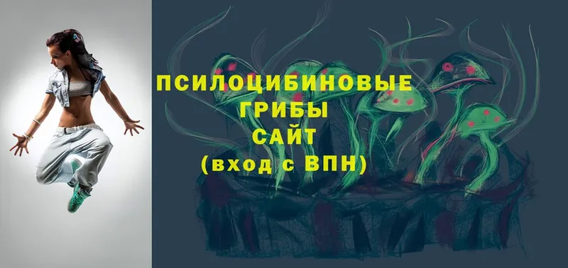 Псилоцибиновые грибы Cubensis  это как зайти  Миньяр 